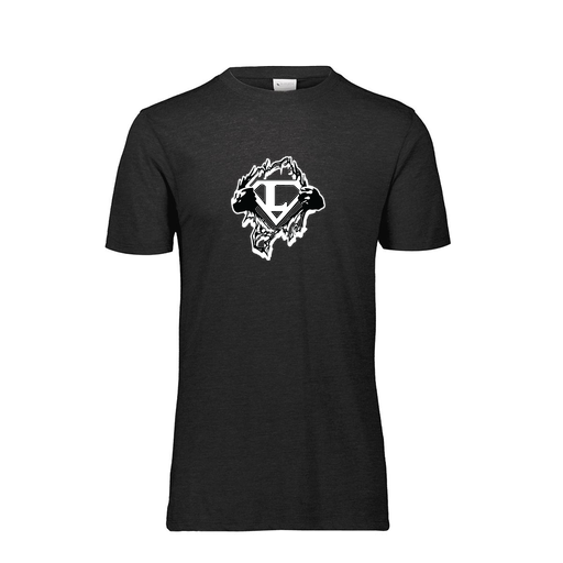 [FTSCUBBK-AS-LOGO3] Decker Men's Tri-Blend T-Shirt - Short Sleeve (Adult S, Black, Logo 3)