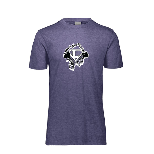 [FTSCUBRY-AS-LOGO3] Decker Men's Tri-Blend T-Shirt - Short Sleeve (Adult S, Royal, Logo 3)